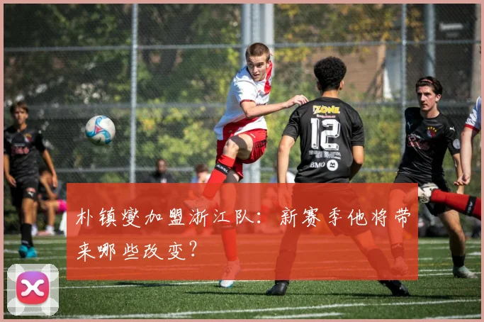 朴镇燮加盟浙江队：新赛季他将带来哪些改变？