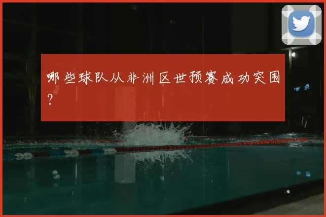 哪些球队从非洲区世预赛成功突围？